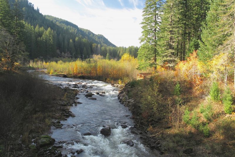 Hemlock Dam Removal, Trout Creek, Washington Interfluve