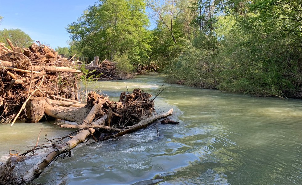 dry-creek-2020